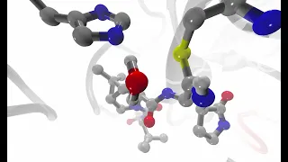Paxlovid's Inhibiton Mechanism on 3CL Main Protease of SARS-CoV-2.