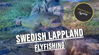 FLYFISHING SWEDISH LAPPLAND. CHAR, GRAYLING AND TROUT