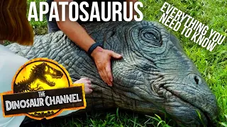 What Was The Apatosaurus? - The Dinosaur Channel