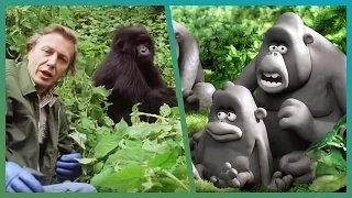 The Gorillas Meet Attenborough ft. Aardman Animations #Attenborough90 | BBC Earth Unplugged