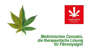 Medizinisches Cannabis, die therapeutische Lösung für Fibromyalgie!