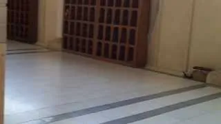 Entering the library of Masjid Nabawi