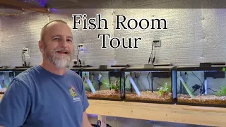 The Angelfish Whisperer Fish Room Tour