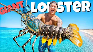 Catching Giant Lobsters For Food On Remote Island😊YBS Youngbloods