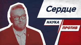 Алексей Утин против мифов о сердце // Наука против