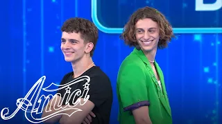 Amici 21 - Albe e Dario - Il gatto e la volpe