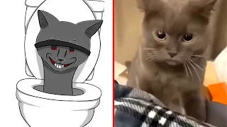 Skibidi Toilet Cat VS Cameraman Dog 😅 Cat Memes: Trending Funny Animals😹