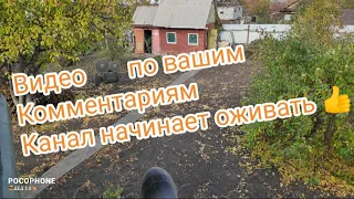 Видео 🎥 по вашим комментариям 🏡 Канал начинает оживать 👍👍👍