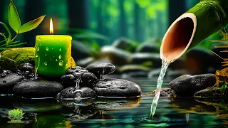 Relaxing Bamboo Music, Meditation Music, Nature Sounds -Relaxing Piano Music & Water Sounds, Calming
