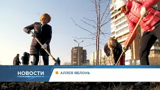 Снос аварийного дома в Норильске и аллея яблок в Красноярске: короткие новости 5 ноября