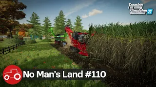Harvesting Sugarcane & Olives, Spraying Weeds & Selling Silage - No Man's Land #110 FS22 Timelapse