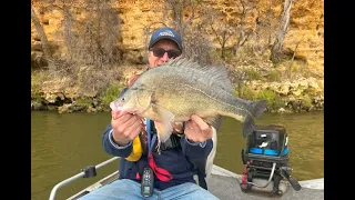 Insane Golden Perch fishing on the Murray River!