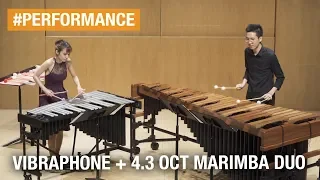 Flying Colours, by Adam Tan (for vibraphone and marimba duo)