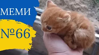 Прикольні приколи №66 | Найкращі відео з тік ток