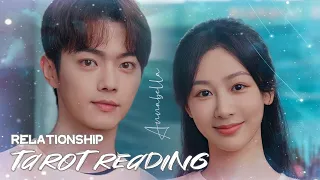 Yang Zi & Xu Kai - Relationship Tarot Reading | 杨紫 Dương Tử & 许凯 Hứa Khải