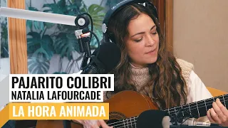 NATALIA LAFOURCADE | Pajarito Colibrí EN VIVO en Futurock | La Hora Animada con Matías Messoulam