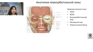 Периорбитальная зона гендерный подход к коррекции