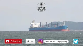 AWESOME SANTOS PORT SHIPSPOTTING, March 2021 #114