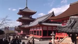 Kiyomizu-dera temple and gardens, Kyoto, Japan travel video
