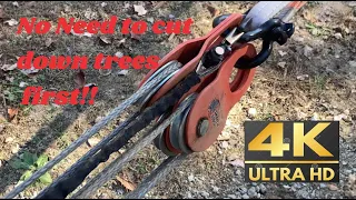 #11 Stump & Tree Pulling With Snatch Block Pulleys 5:1 and 7:1 Mechanical Advantage [4K 60FPS]