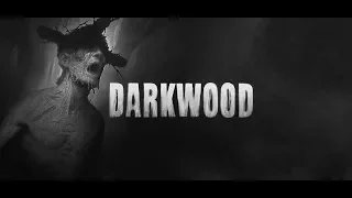 Финал DARKWOOD (нет)