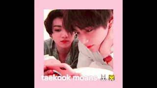 🐰🐯 || Taekook Moans