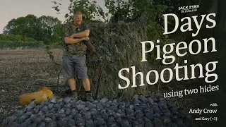 Days pigeon shooting with Andy Crow and Gary (+1)