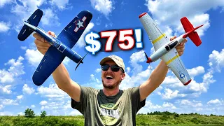 World’s CHEAPEST BEST RC Plane 2023!