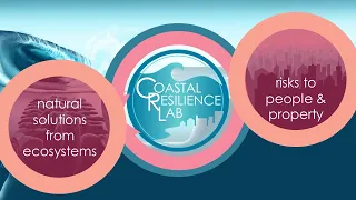Coastal Resilience Lab Approach