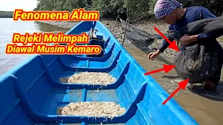 Fenomena Alam Terjadi Lagi!! Kembali Datang Diawal Musim Kemarau