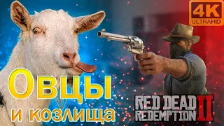 Миссия: Овцы и козлища. Винтовка с откидным затвором в Red Dead Redemption 2 (RDR 2).