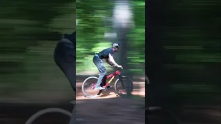 Mountain biking in the woods