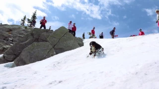 Skiing at Big White on Canada Day, July 1