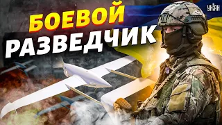 Встречайте — "боевой разведчик". В армии дронов пополнение. Все об уникальной птичке