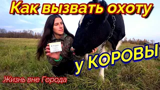 Вызов Охоты у Коровы ЭСТРОФАН