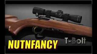 A Best .22 Rifle Tested: Browning T Bolt