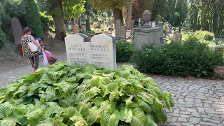 Sighișoara hill Cemetery, Cimitirul Bisericii Din Deal. Not Citadel... - Sighișoara Romania - ECTV