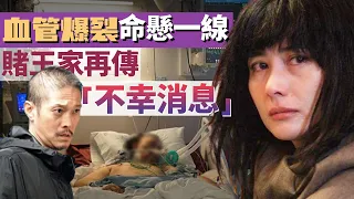 病情急轉直下！陳子聰大動脈爆裂「一肚都是血」！搶救4天差點截肢，何超儀怒砸千萬無濟於事，後半輩子恐在床上度過！ | 郭碧婷 | 向佐 | 苟芸慧 |【HK頭條】