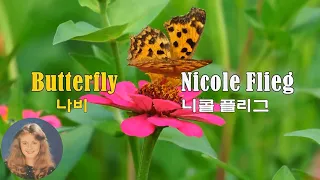 Butterfly - Nicole Flieg (나비 - 니콜 플리그) (1982) lyrics가사 해석 자막