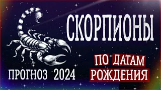 СКОРПИОНЫ по Датам рождения. Нумерологический прогноз на 2024 год.