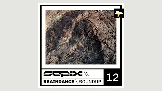 Braindance Roundup Twelve (IDM Mix, Braindance Mix, 2022)