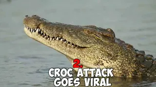 5 Crocodile Attacks Caught On Camera.mp4