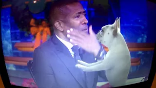 Look at this Dog- Inside the NBA with Kenny Smith