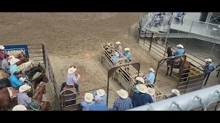 TR Slack - Day #4 Fiesta Days Rodeo/Spanish Fork, UT - 7/24/2023
