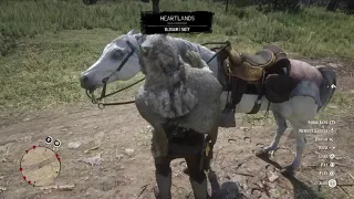 Remove Bounty for free (glitch) Red Dead Redemption 2