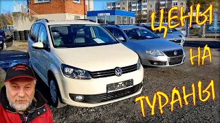 Volkswagen Touran Car prices in Lithuania.