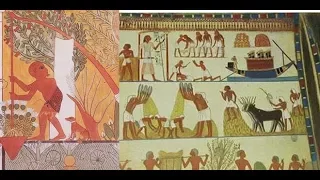 Ancient Egypt Crops