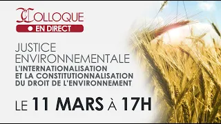 L’internationalisation et la constitutionnalisation du droit de l’environnement