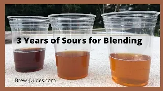 Tasting 3 Years Worth of Homebrewed Sour Beers & Blending Strategy