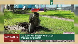 Мала Рогань повертається до звичайного життя